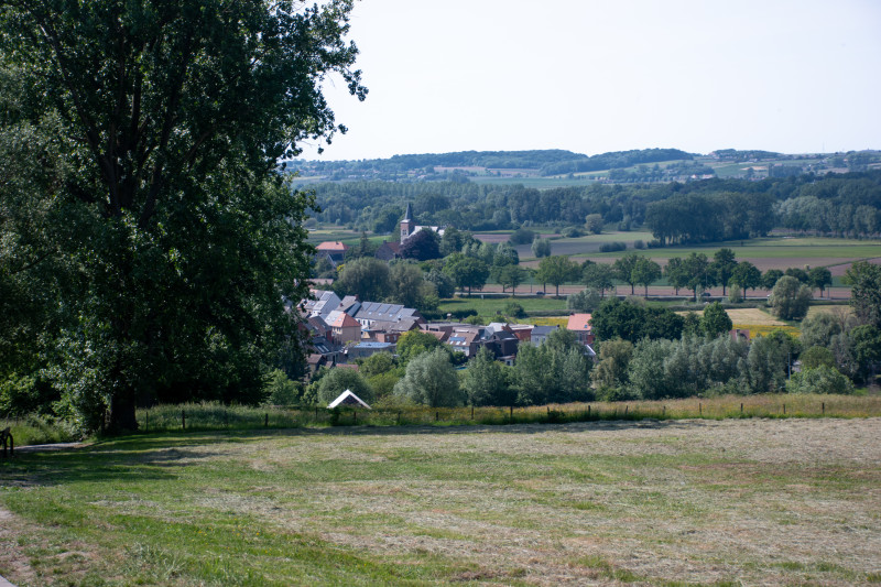 Home